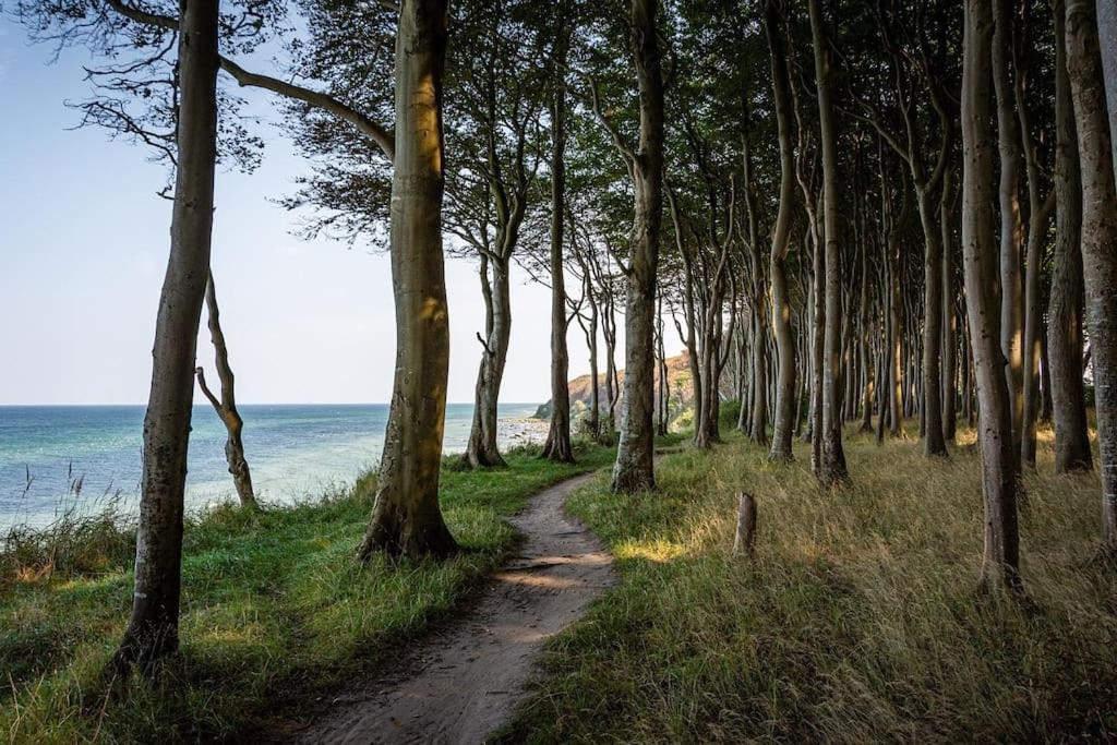 Eleganz Im Zentrum, Ostsee, Luebeck & Hotspots Nah! バート・シュヴァルタウ エクステリア 写真